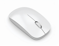 Souris
